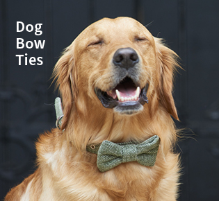 Dog Bow Ties