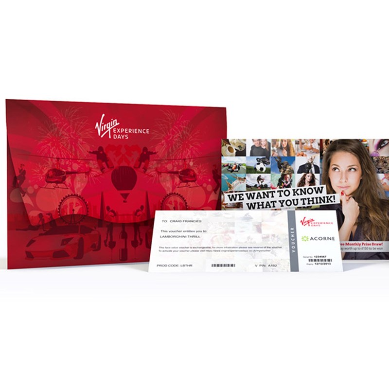 30 Minute Flying Lesson