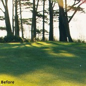 Golf Ball Finder Glasses