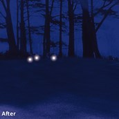 Golf Ball Finder Glasses