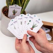 House Plant Care Tags