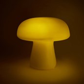 Mushroom Light