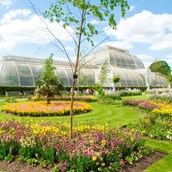 Visit to Kew Gardens with Cream Tea for 2