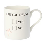 Are You Drunk Mug