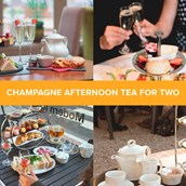 Champagne Afternoon Tea for Two Collection Experience Day
