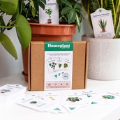 House Plant Care Tags