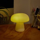Mushroom Light
